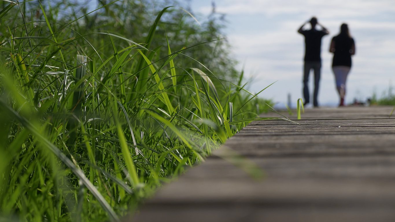 Umgebung zu Fuss erkunden